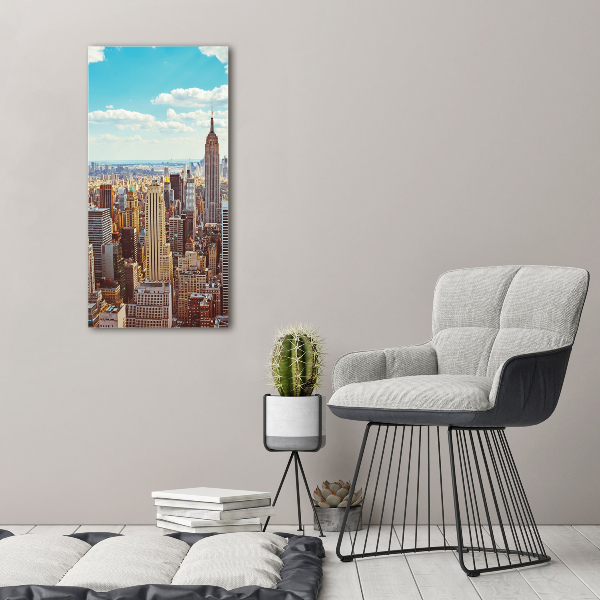 Vászonfotó New york-i járat madár