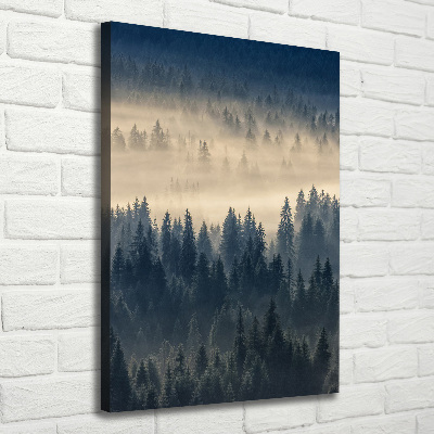 Feszített vászonkép Köd az erdőben