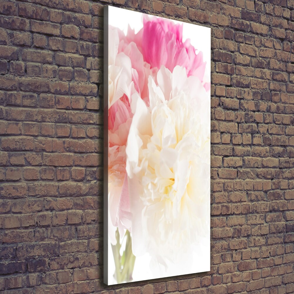 Vászonkép nyomtatás Pünkösdi rózsa