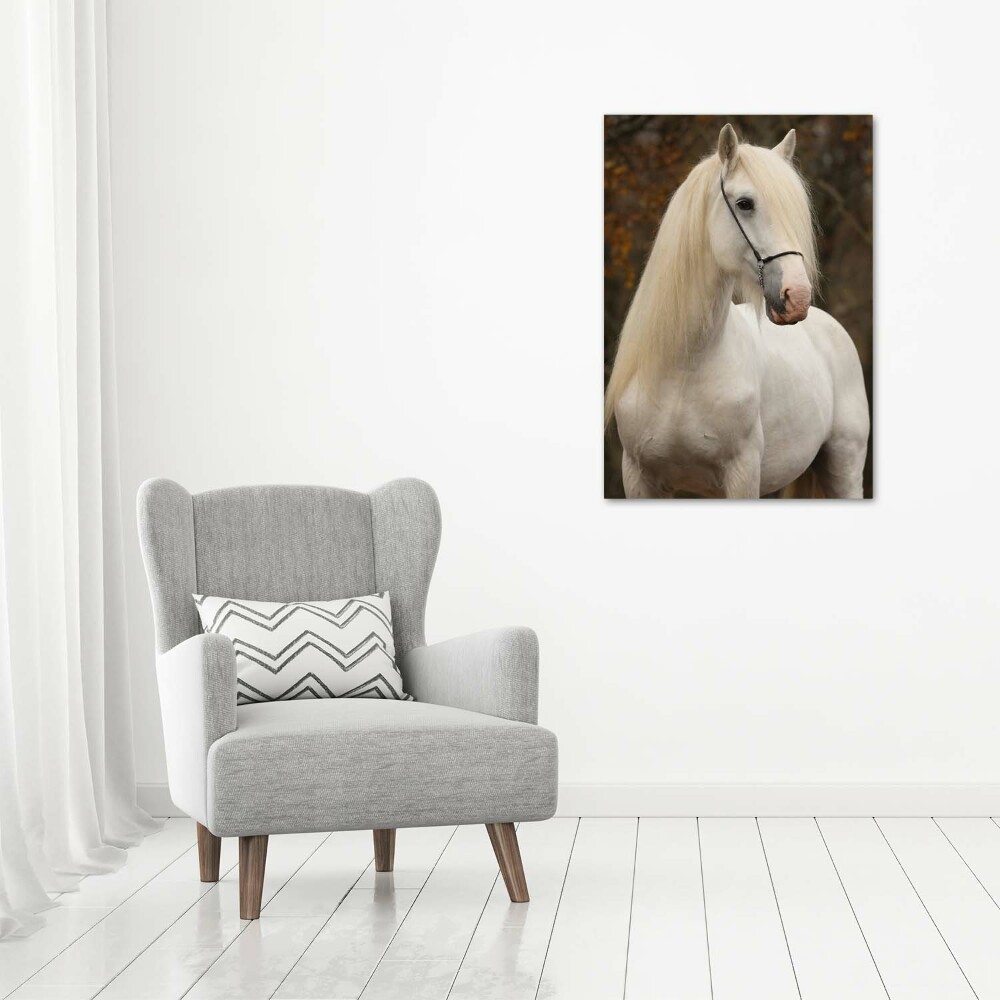 Vászonkép Fehér ló