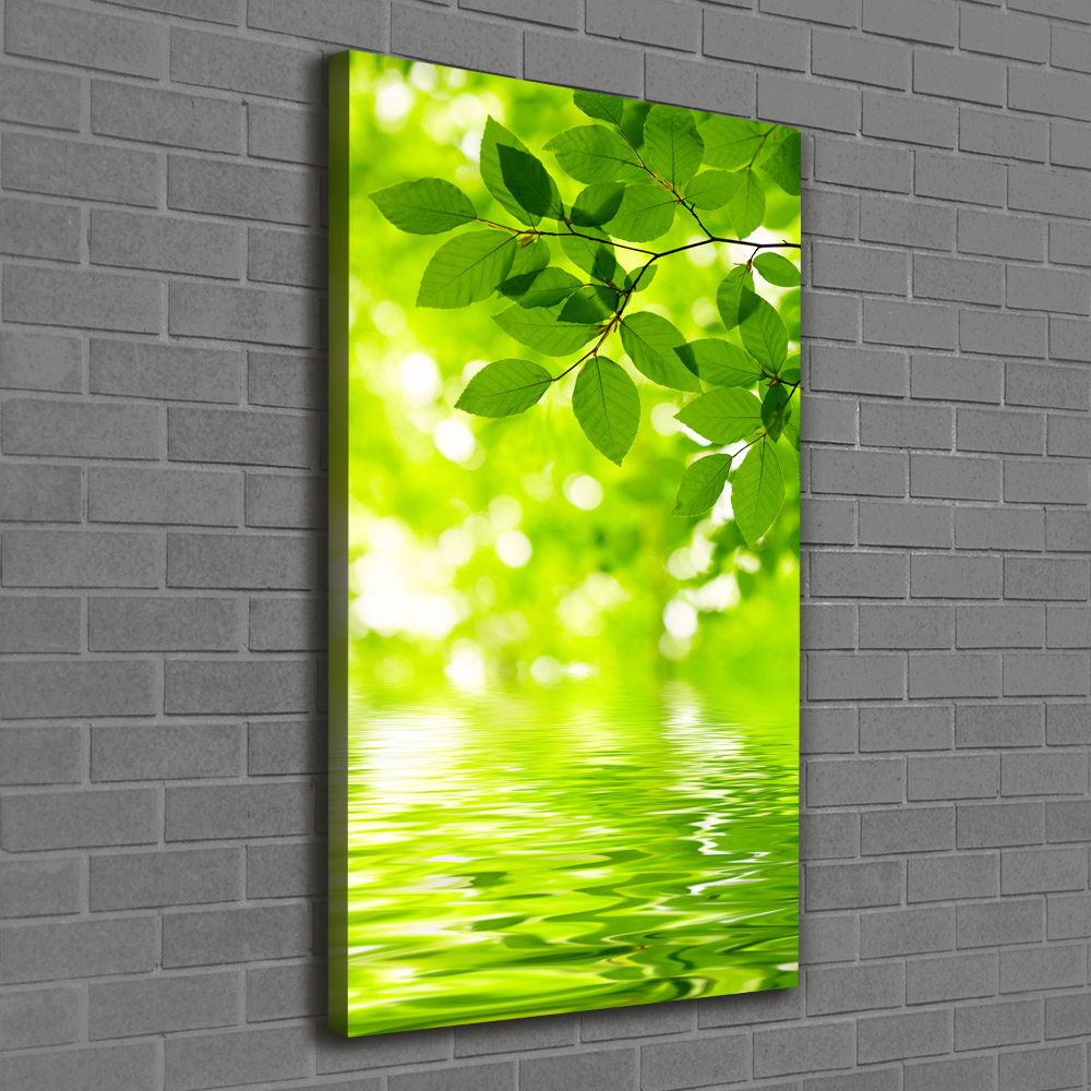 Vászonkép nyomtatás Zöld levelek