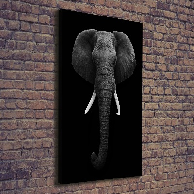 Vászonkép Afrikai elefánt