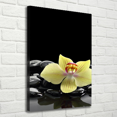 Vászonkép nyomtatás Orchidea és kövek