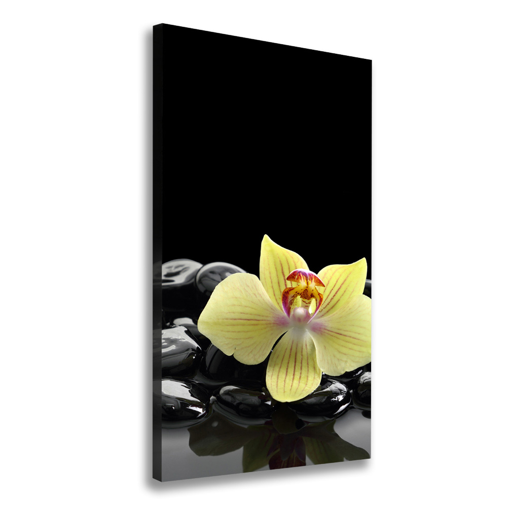 Vászonkép nyomtatás Orchidea és kövek