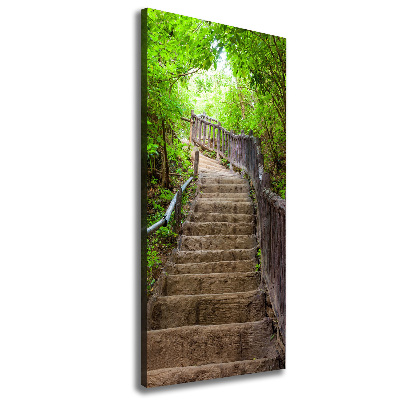Vászonfotó Lépcsők az erdőben