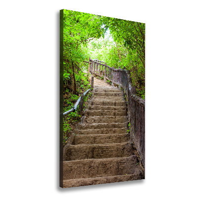 Vászonfotó Lépcsők az erdőben