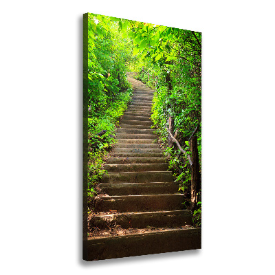 Vászon nyomtatás Lépcsők az erdő