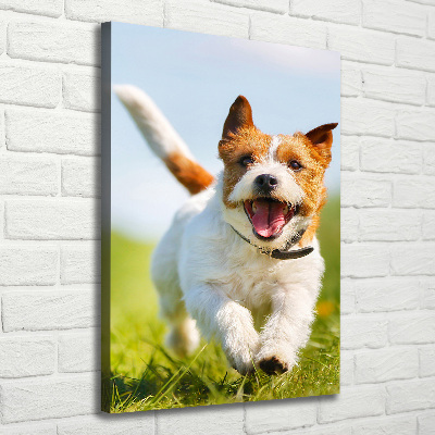 Vászonkép Jack russell kutya