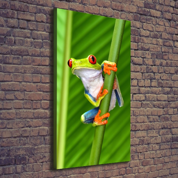 Vászonkép Leveli béka