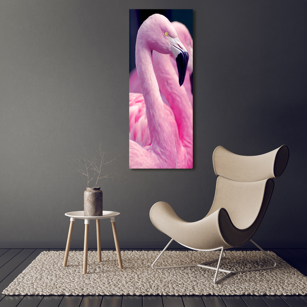 Vászonkép Flamingók