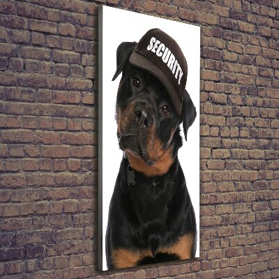 Vászonkép Rottweiler egy sapka