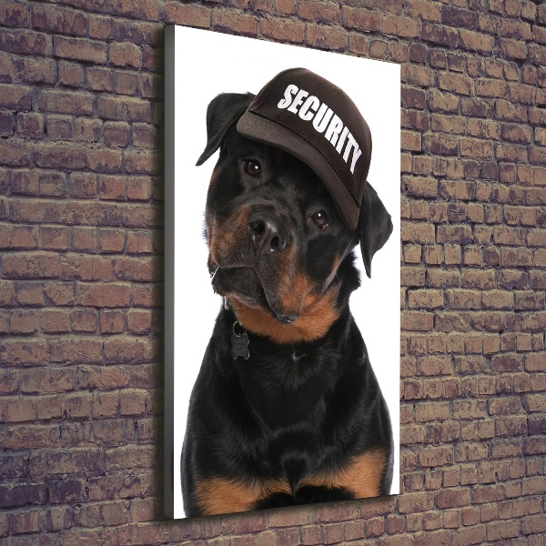 Vászonkép Rottweiler egy sapka