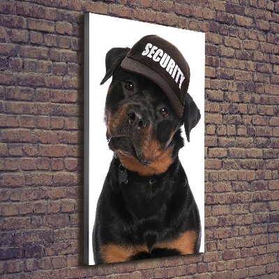 Vászonkép Rottweiler egy sapka