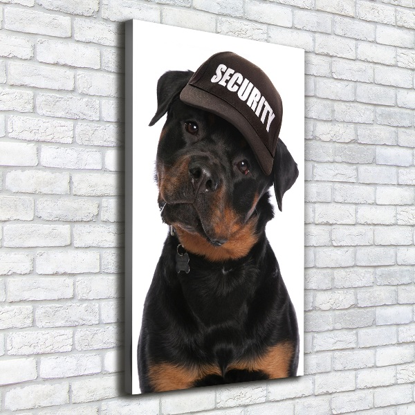 Vászonkép Rottweiler egy sapka