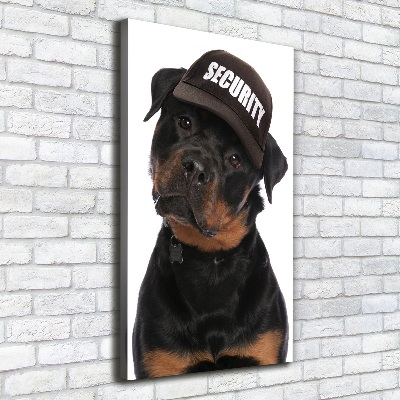 Vászonkép Rottweiler egy sapka