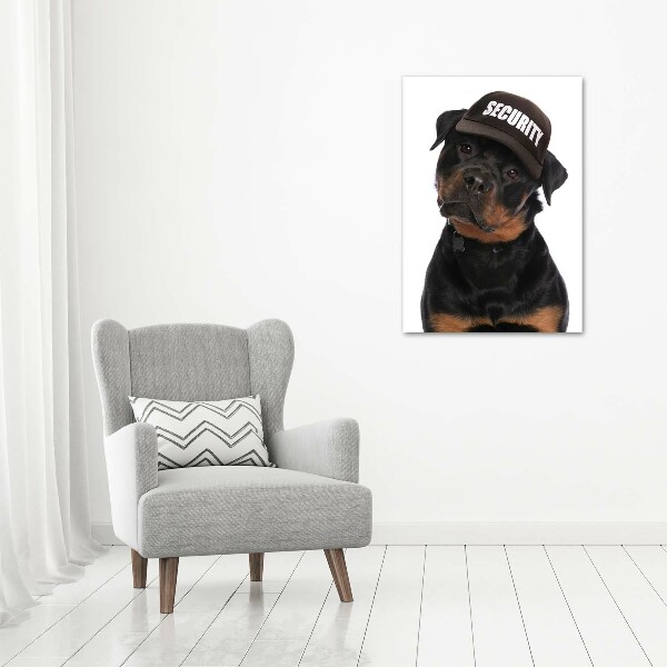 Vászonkép Rottweiler egy sapka