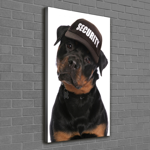 Vászonkép Rottweiler egy sapka