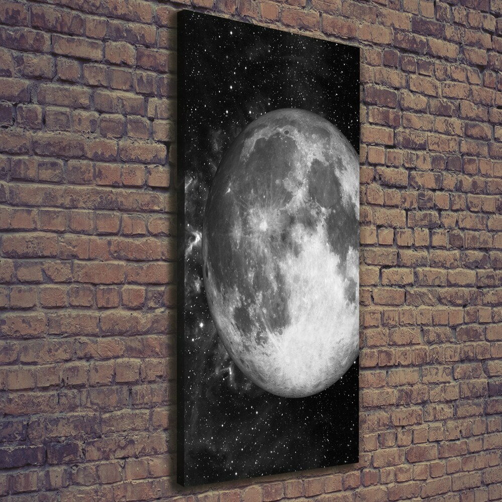 Vászonkép falra Hold