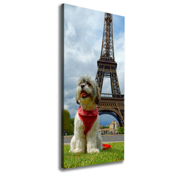 Vászonkép Dog in paris