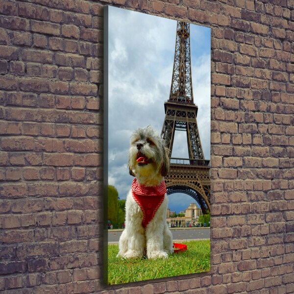 Vászonkép Dog in paris