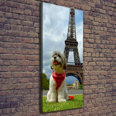 Vászonkép Dog in paris