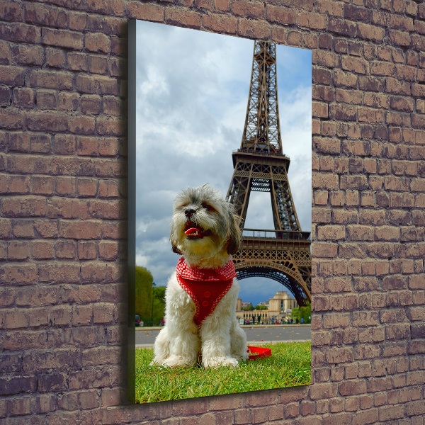 Vászonkép Dog in paris