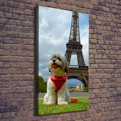 Vászonkép Dog in paris