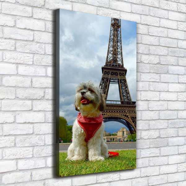 Vászonkép Dog in paris