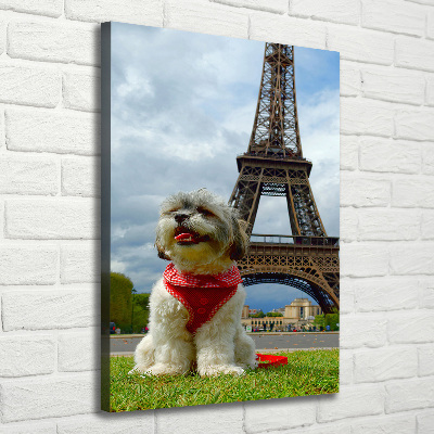 Vászonkép Dog in paris