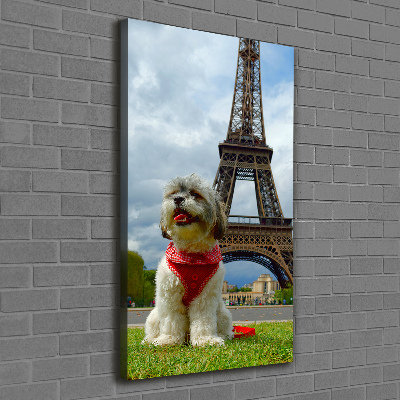 Vászonkép Dog in paris