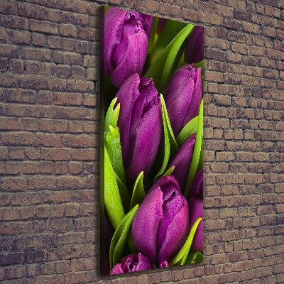 Egyedi vászonkép Lila tulipánok