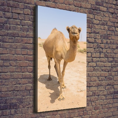 Vászonkép Teve a sivatagban
