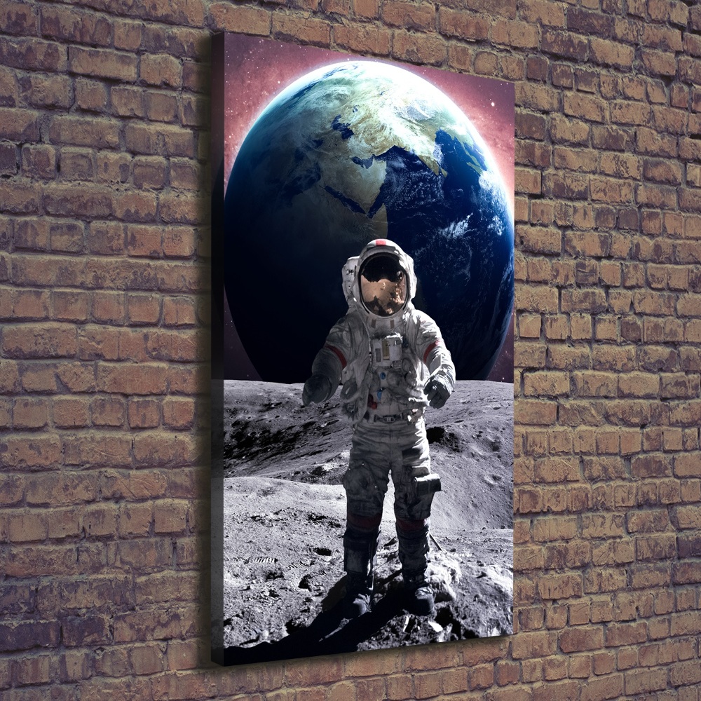 Vászonkép falra Űrhajós