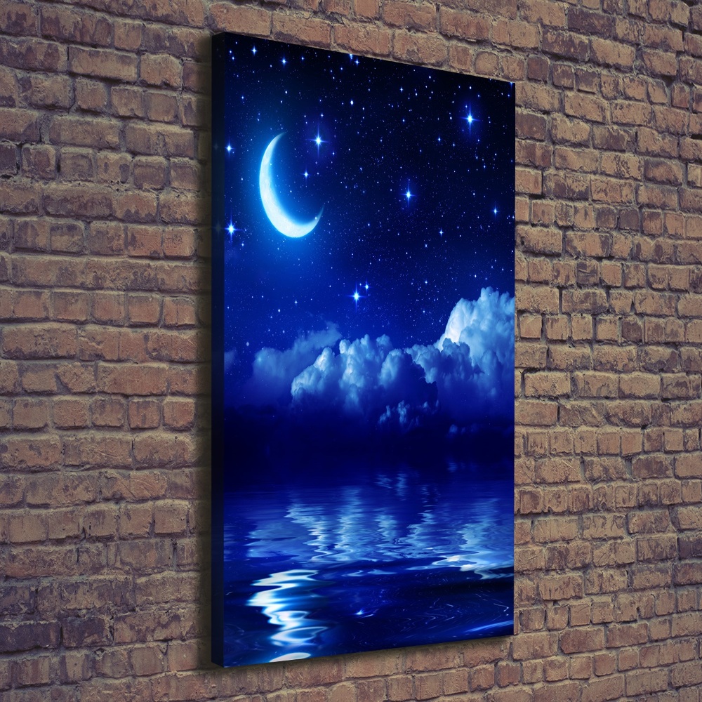 Vászonkép falra Éjszakai égbolt