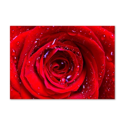 Egyedi üvegkép Rózsa virág