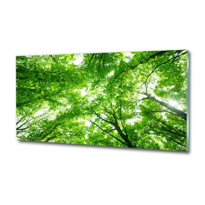 Egyedi üvegkép Zöld erdő