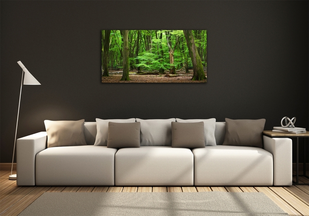 Üvegfotó Holland erdő