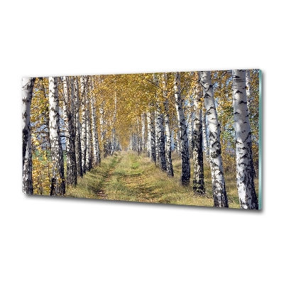 Üvegfotó Birches ősszel
