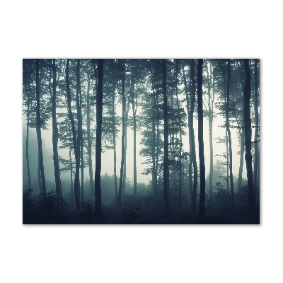 Üvegfotó Forest a ködben