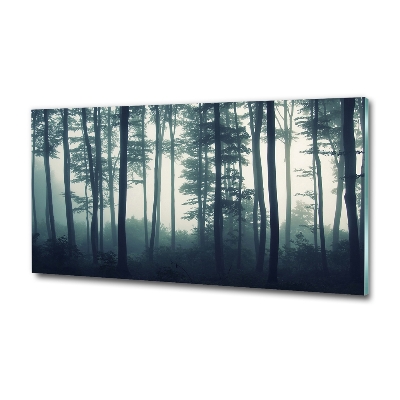 Üvegfotó Forest a ködben