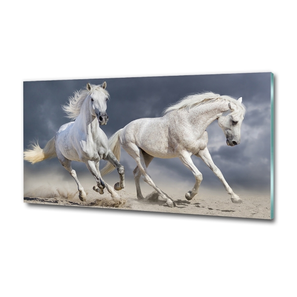 Üvegkép White horse beach