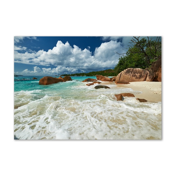 Üvegfotó Strand seychelles