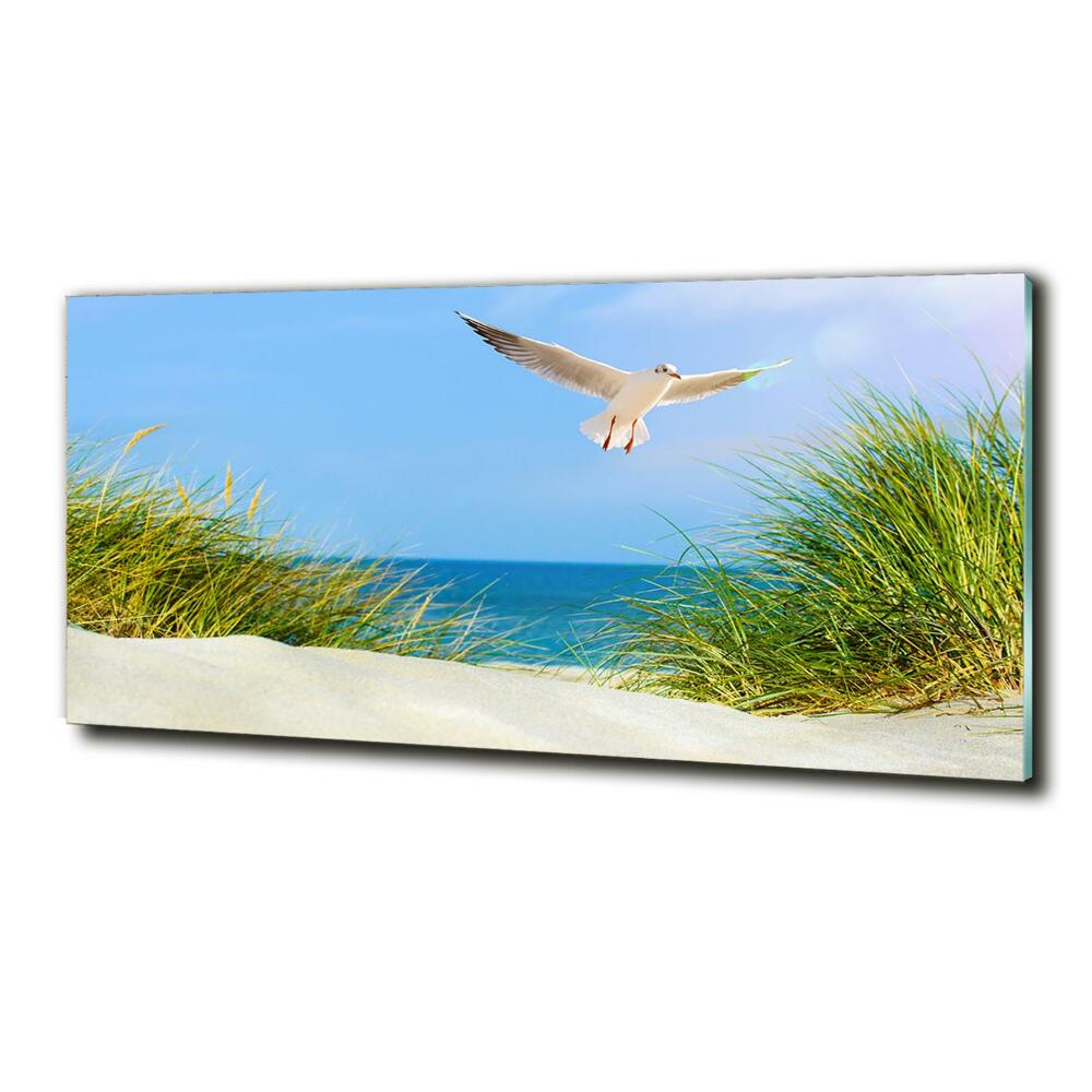 Üvegfotó Sirály a tengerparton