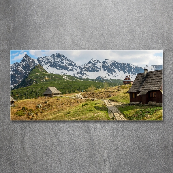 Üvegfotó Hale tatry