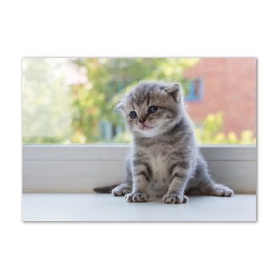 Üvegkép Kis macska az ablakban