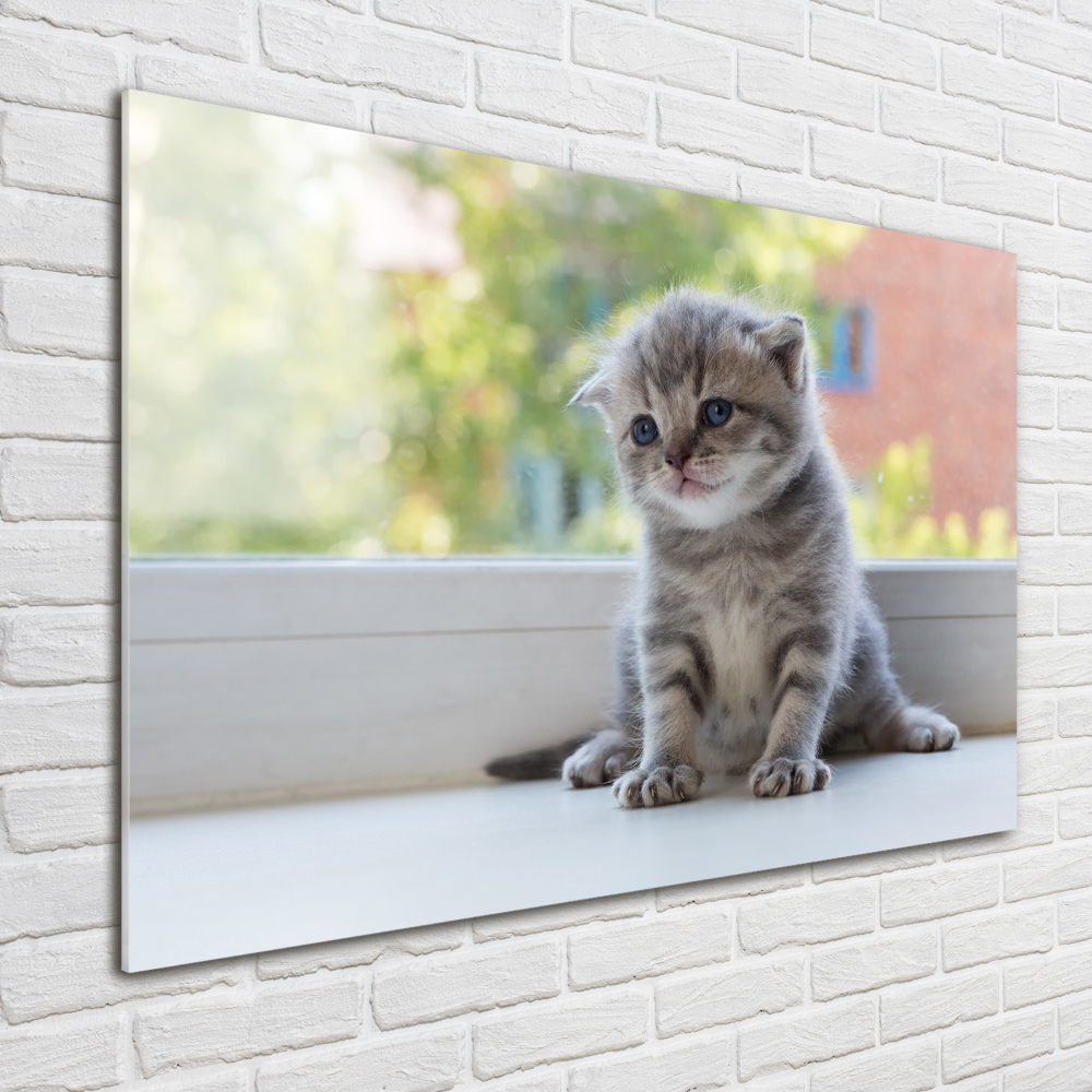 Üvegkép Kis macska az ablakban
