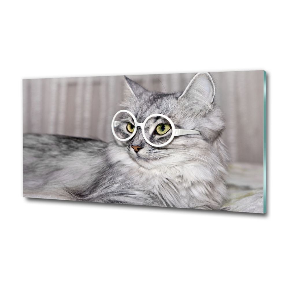 Üvegkép Cat szemüveg