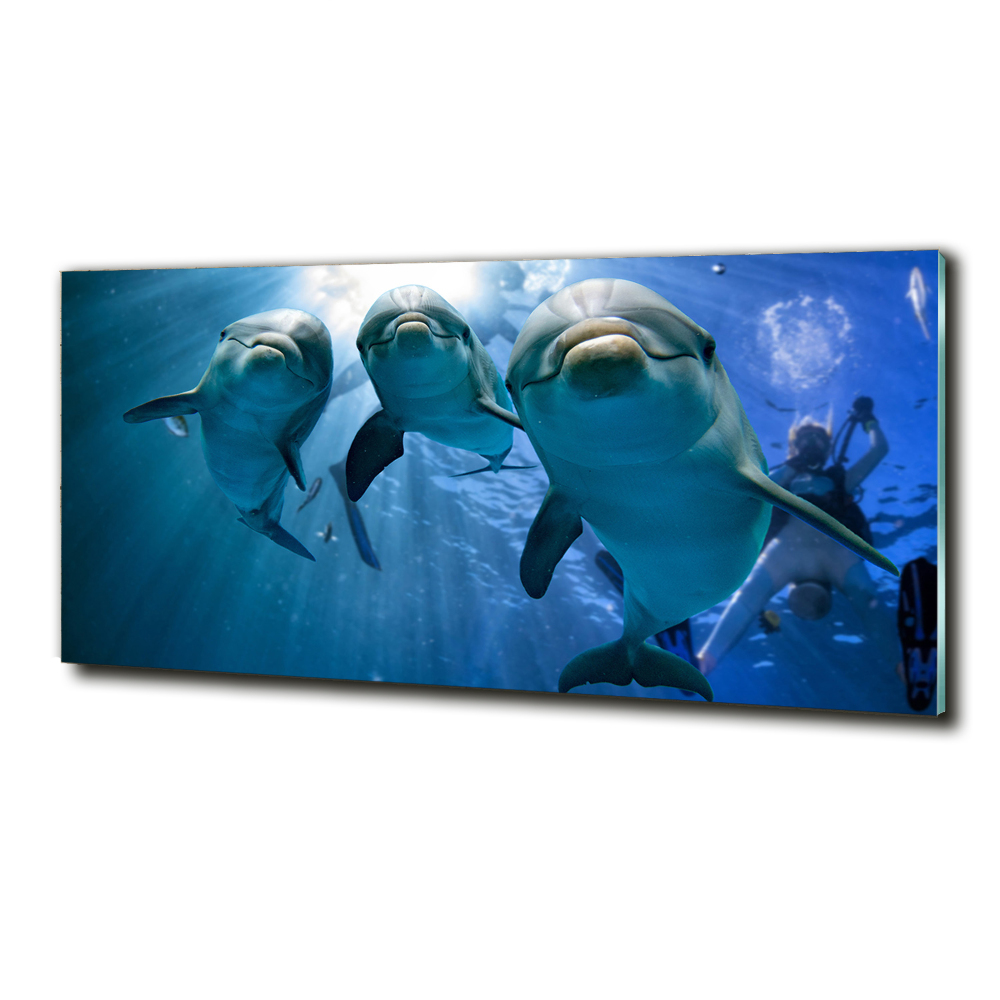 Üvegkép Három delfinek