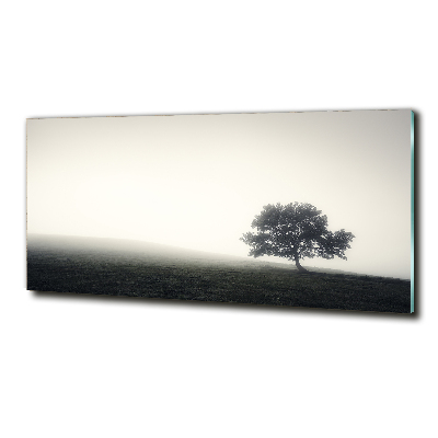 Üvegfotó Lone tree