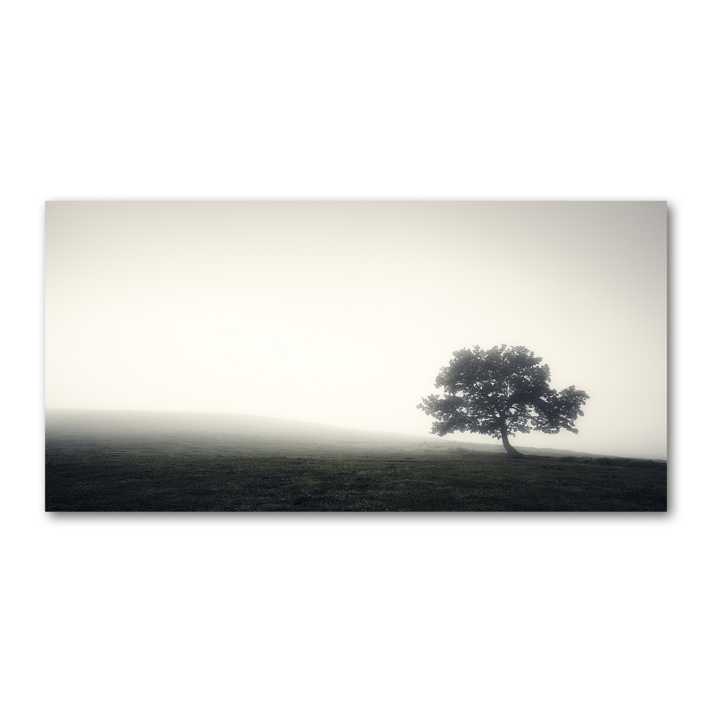 Üvegfotó Lone tree